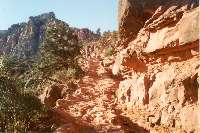 Looking back on the trail just below Cedar Ridge.