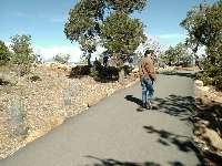 The path leading to Yavapai Lookout.