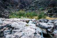 Garden Creek - another clear running stream.