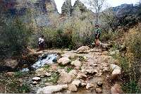 The trail crosses the creek - one of many times.