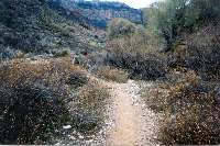 The Bright Angel Trail as it approaches Indian Gardens.