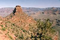 O'Neill Butte Showing Trail