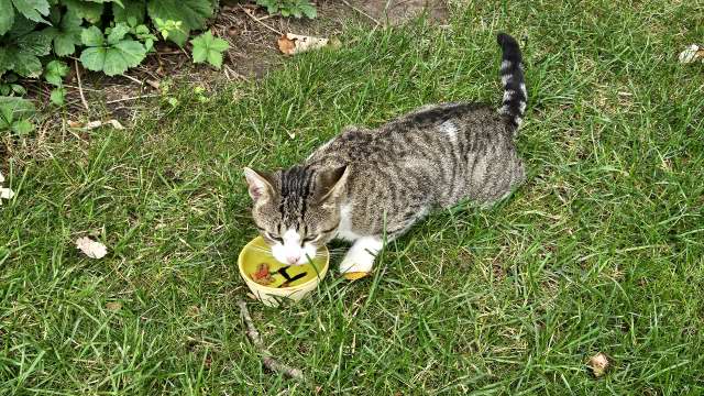 Juliet Eating