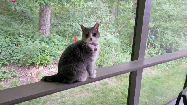 Portia on the porch