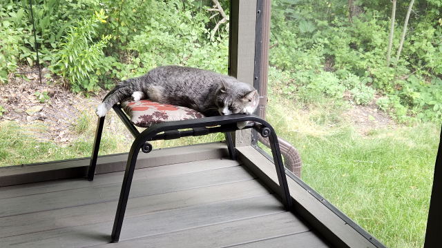 Portia on the porch