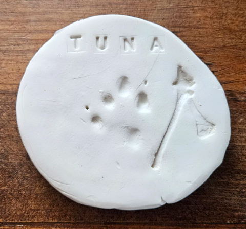 Tuna's paw print made just before he passed away at the vet