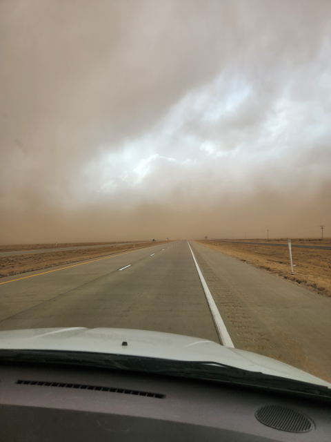 Texas derecho