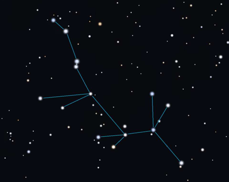 Davis' Dog constellation lines. Would coyote or fox be a better fit? - Stellarium