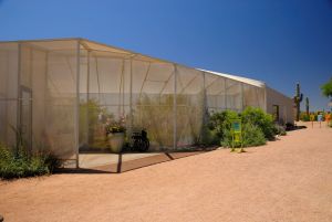 Desert Botanical Garden Butterfly Pavilion