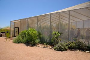 Desert Botanical Garden Butterfly Pavilion