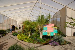 Desert Botanical Garden Butterfly Pavilion