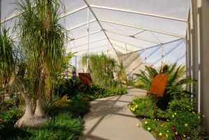 Desert Botanical Garden Butterfly Pavilion