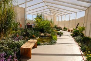 Desert Botanical Garden Butterfly Pavilion