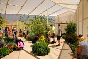 Desert Botanical Garden Butterfly Pavilion