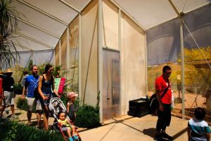 Desert Botanical Garden Butterfly Pavilion