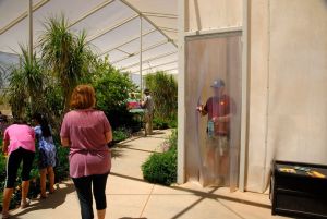 Desert Botanical Garden Butterfly Pavilion