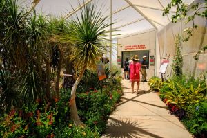 Desert Botanical Garden Butterfly Pavilion