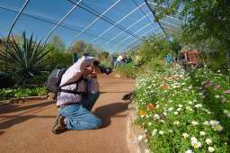 Desert Botanical Garden