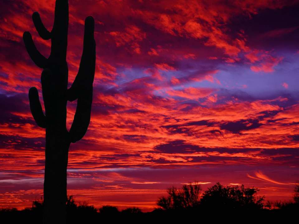 Sunset over Terravita, Scottsdale, AZ