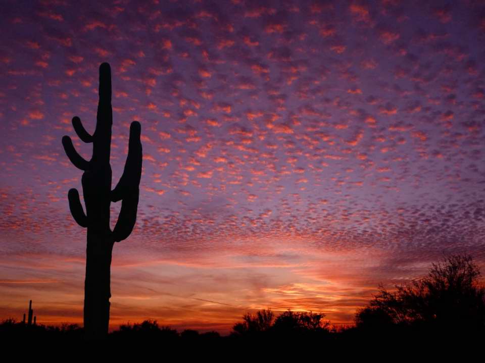 Sunset over Terravita. Scottsdale, AZ