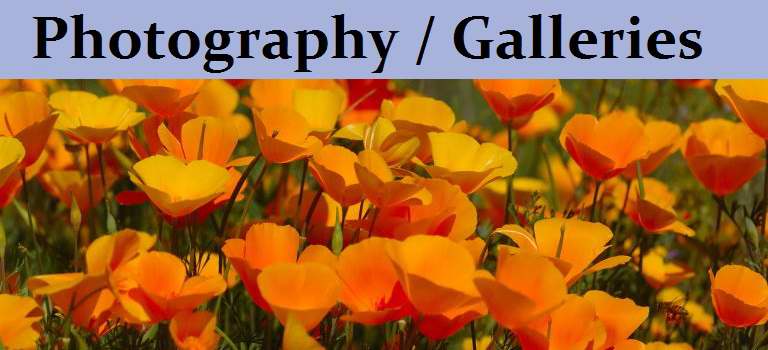 Photography / Galleries