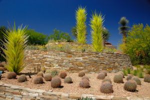 Desert Botanical Garden Grounds