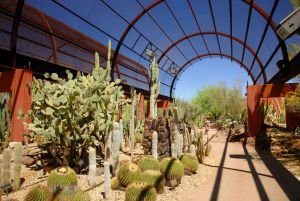 Desert Botanical Garden Grounds