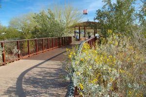 Desert Botanical Garden Grounds