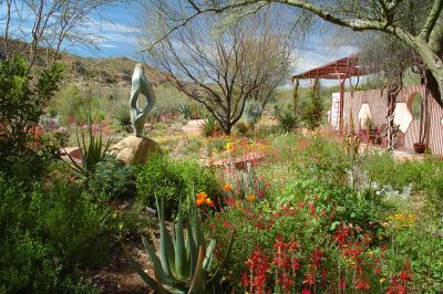 Boyce Thompson Arboretum