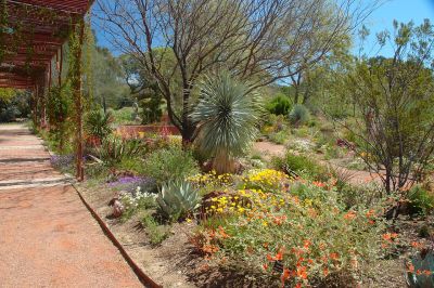 Boyce Thompson Arboretum