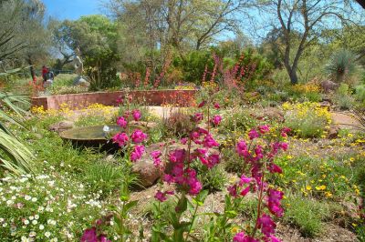 Boyce Thompson Arboretum