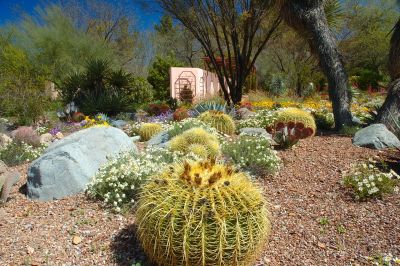 Boyce Thompson Arboretum