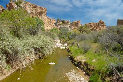 Boyce Thompson Arboretum