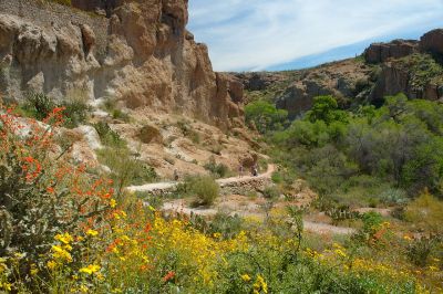 Boyce Thompson Arboretum