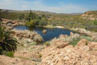 Boyce Thompson Arboretum