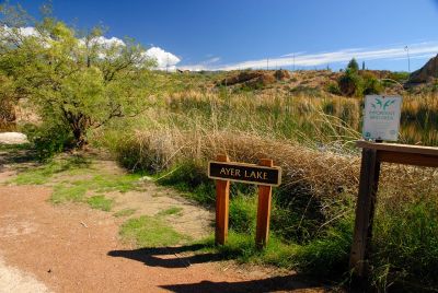 Boyce Thompson Arboretum