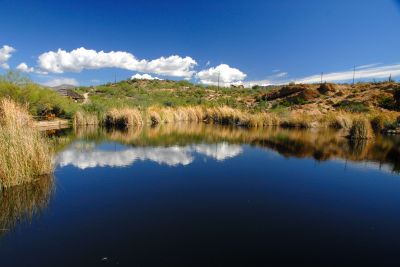 Boyce Thompson Arboretum