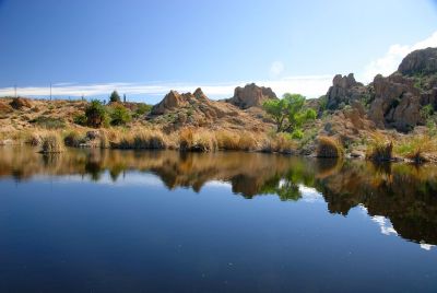 Boyce Thompson Arboretum