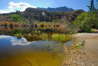 Boyce Thompson Arboretum