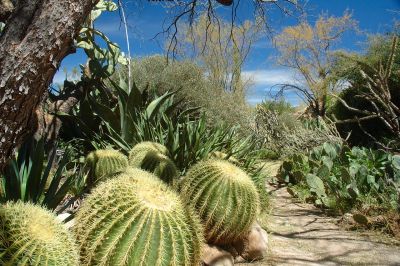 Boyce Thompson Arboretum