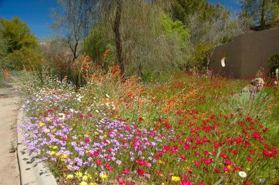 Boyce Thompson Arboretum