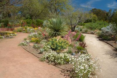 Boyce Thompson Arboretum