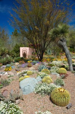 Boyce Thompson Arboretum