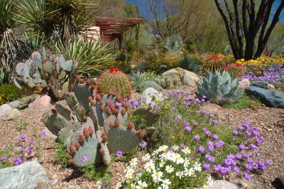 Boyce Thompson Arboretum