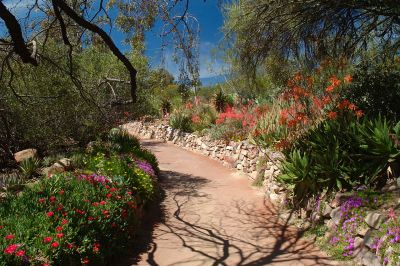 Boyce Thompson Arboretum