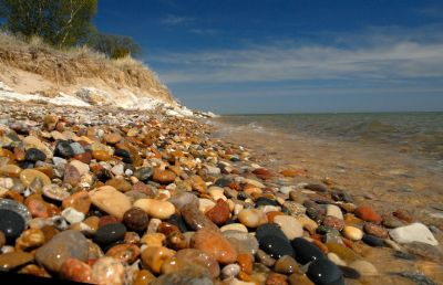 Rocks, Fossils, & Shells