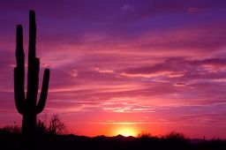 Arizona Sunset