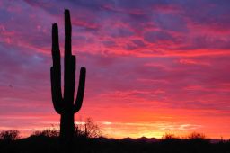 Arizona Sunset Picture