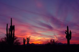 Arizona Sunset Picture