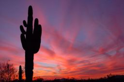 Arizona Sunset Picture